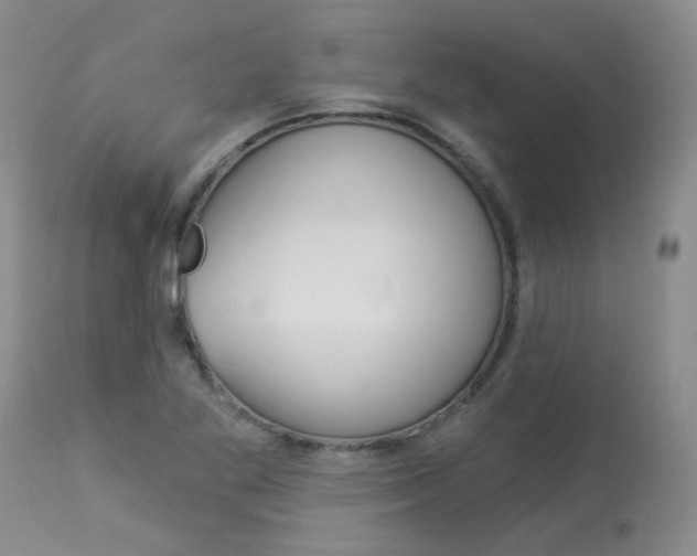 X0000114031269200910021032