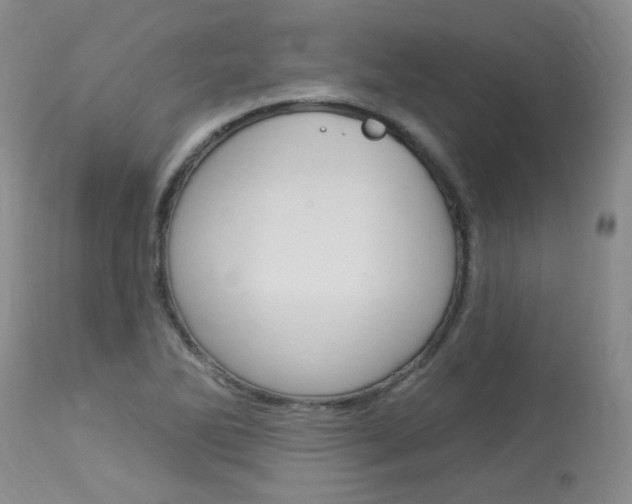 X0000114031270200910021032