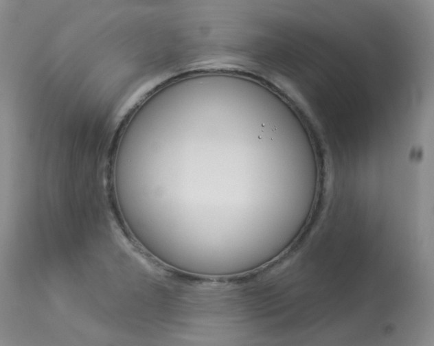 X0000114031277200910021032