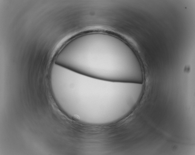 X0000114031279200910021032