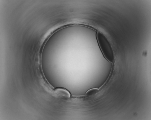 X0000114031280200910021032