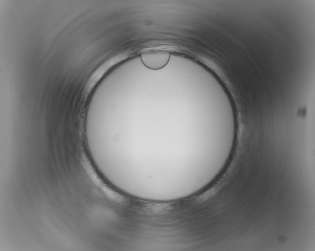 X0000114031282200910021032