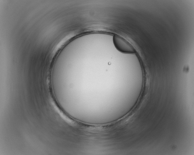 X0000114031285200910021032