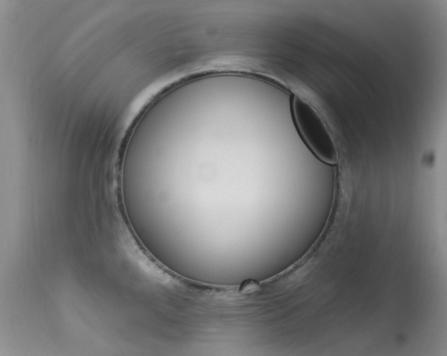 X0000114031288200910021032