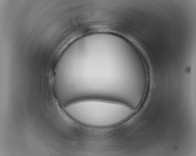 X0000114031289200910021032