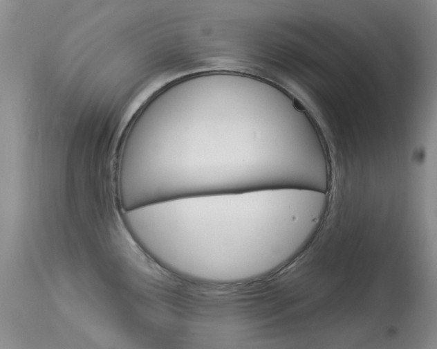 X0000114031291200910021032