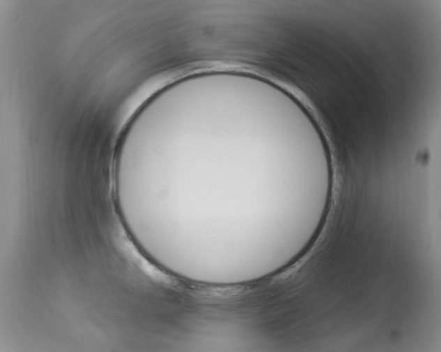X0000114031294200910021032
