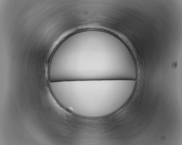 X0000114031295200910021032