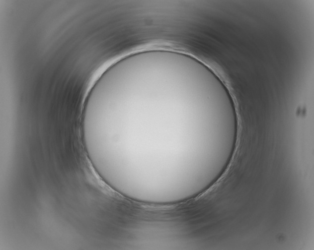X0000114031296200910021032