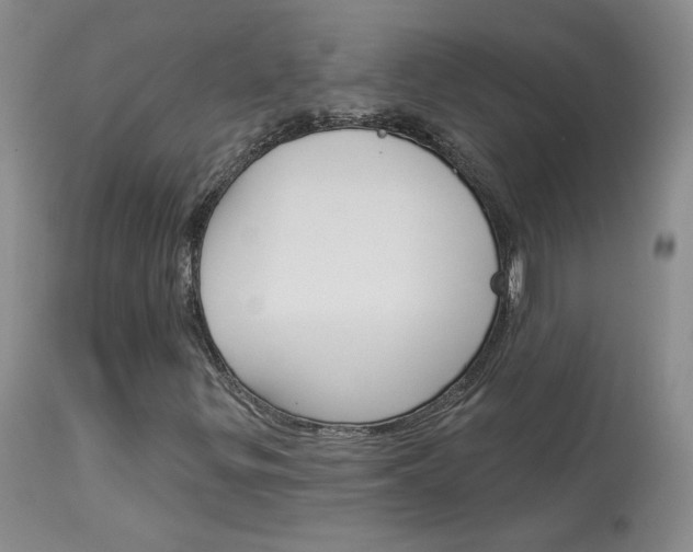 X0000114031299200910021031