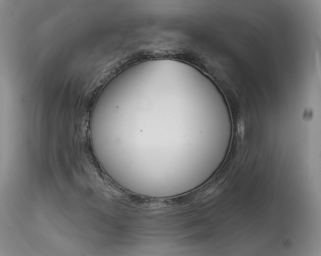 X0000114031300200910021031