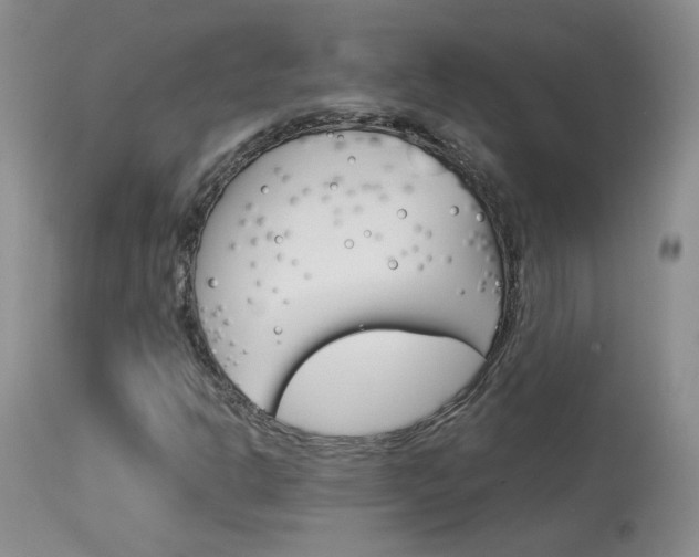 X0000114031302200910021031