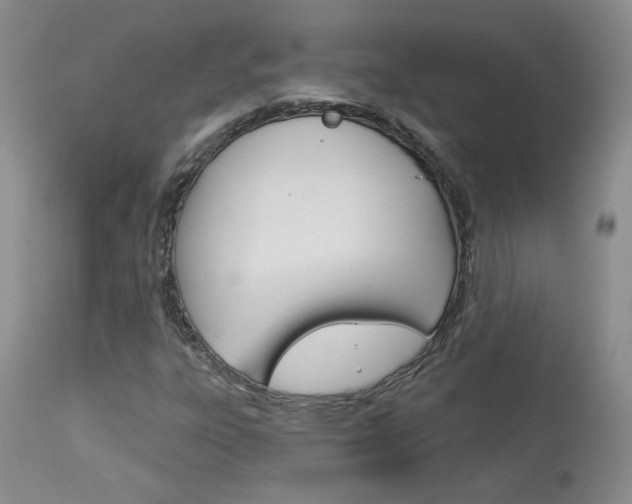 X0000114031303200910021031