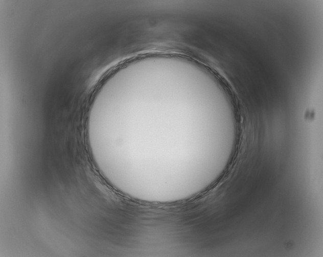 X0000114031304200910021031