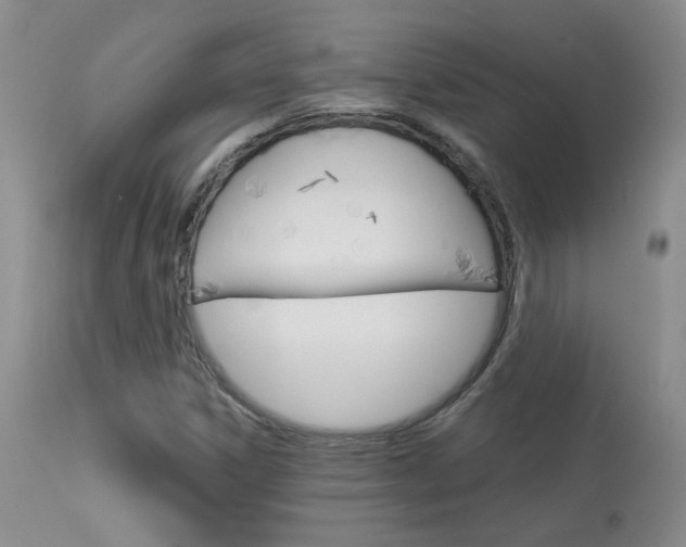 X0000114031306200910021031