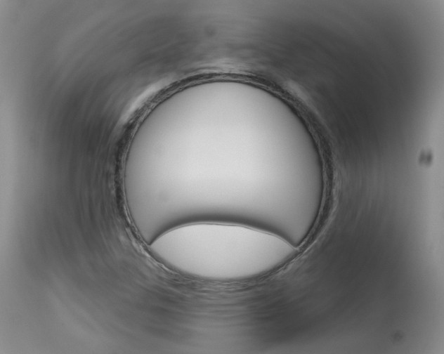 X0000114031307200910021031