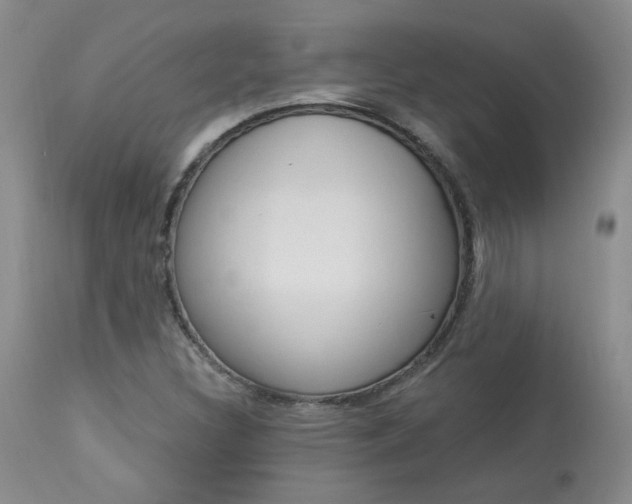 X0000114031308200910021031