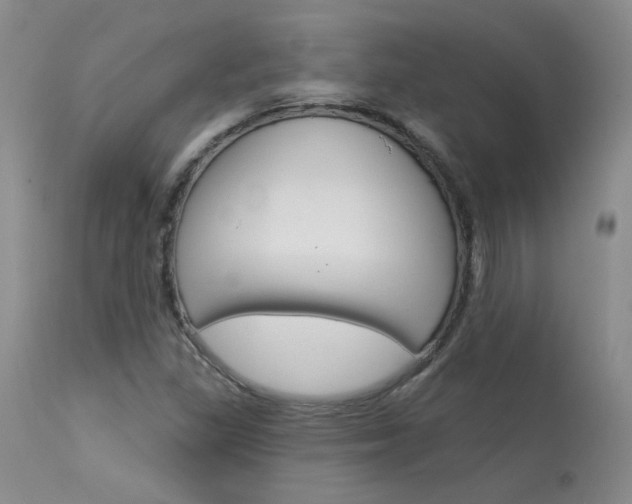 X0000114031309200910021031