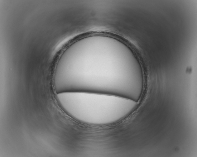 X0000114031311200910021031