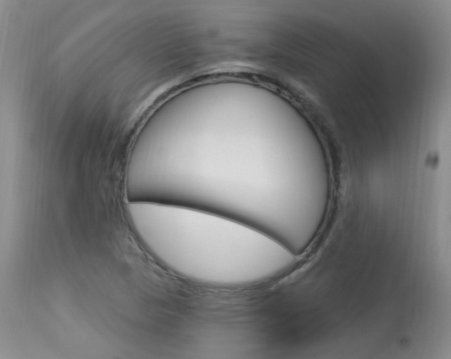 X0000114031313200910021031