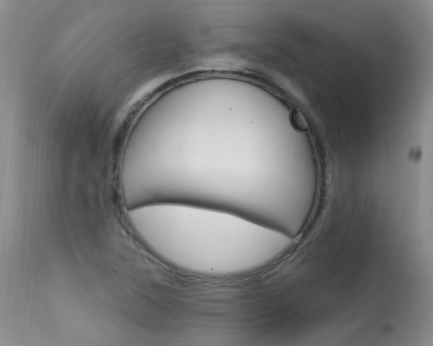 X0000114031315200910021031