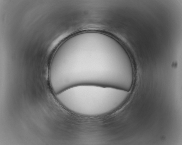 X0000114031317200910021031