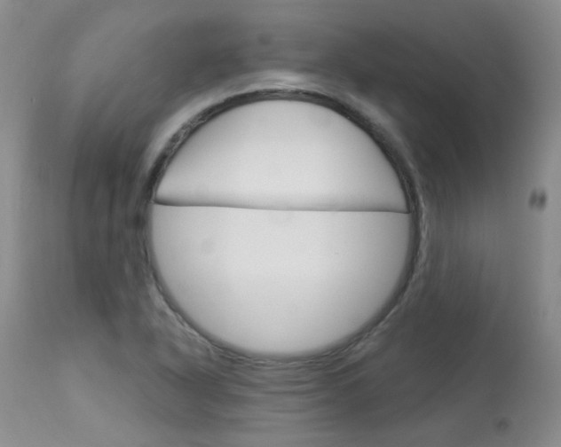 X0000114031318200910021031