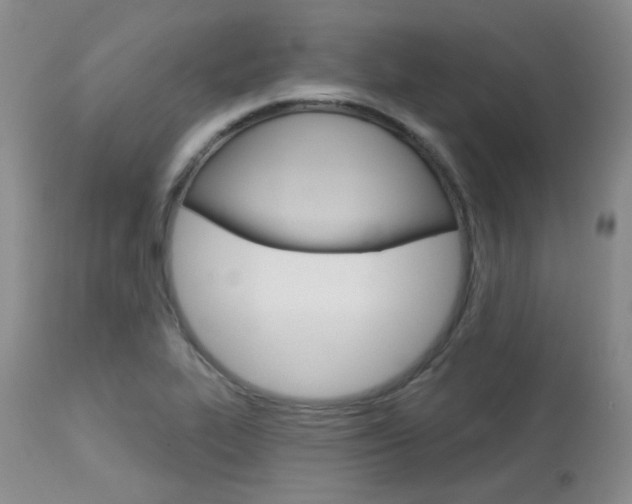 X0000114031319200910021031