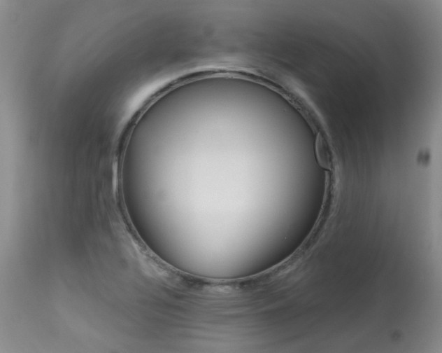X0000114031320200910021031