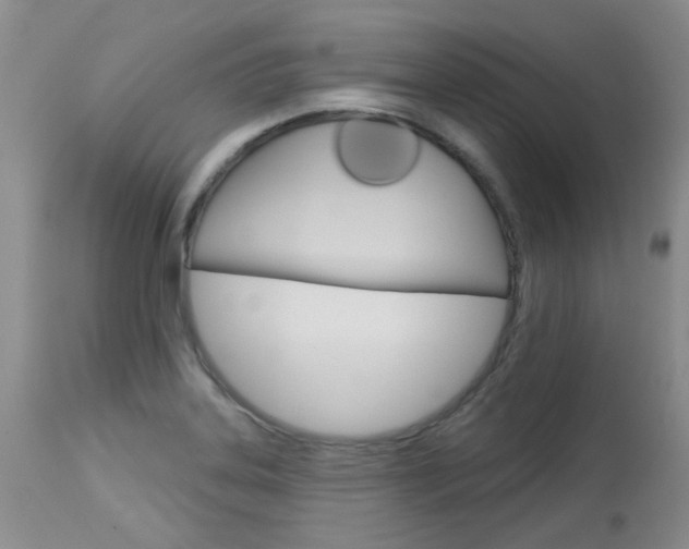 X0000114031323200910021031