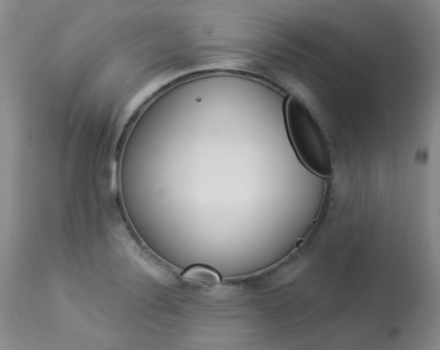 X0000114031324200910021031