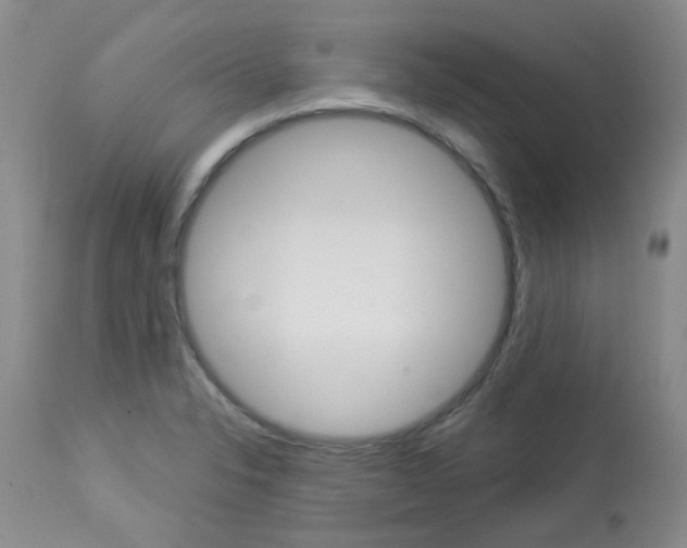 X0000114031326200910021031