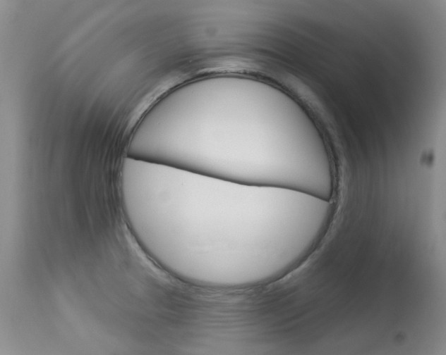X0000114031329200910021031
