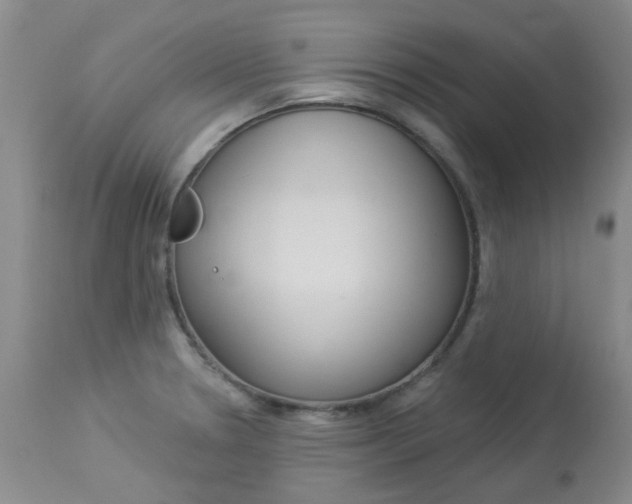 X0000114031330200910021031