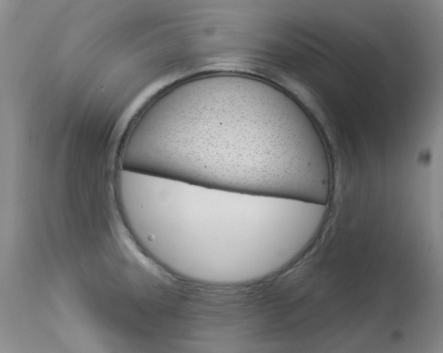 X0000114031331200910021031