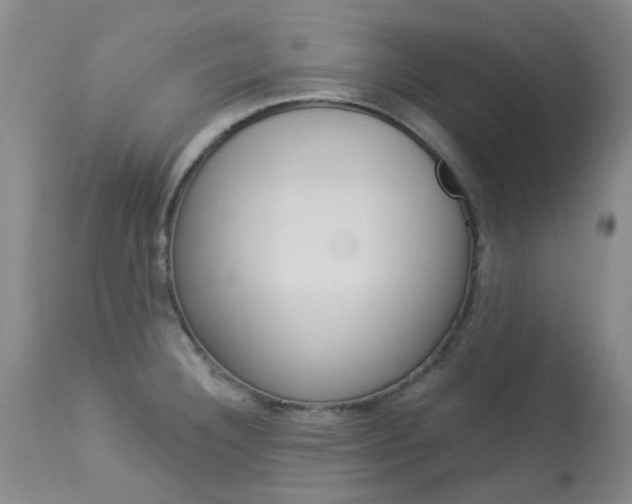 X0000114031332200910021031