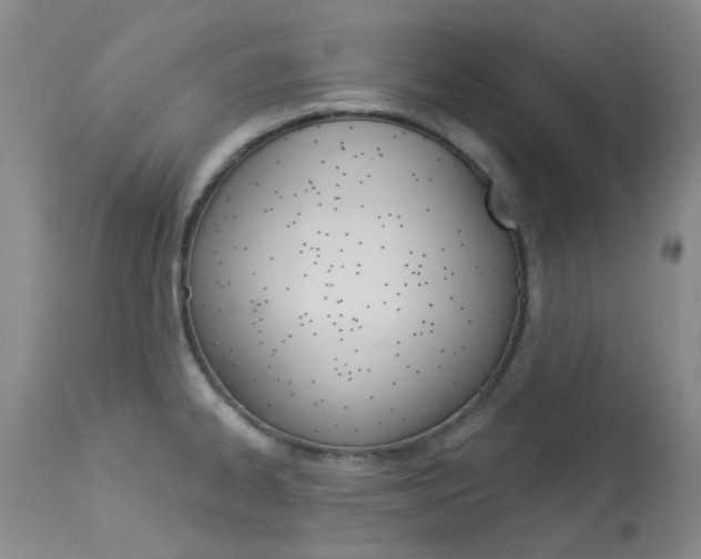 X0000114031334200910021031