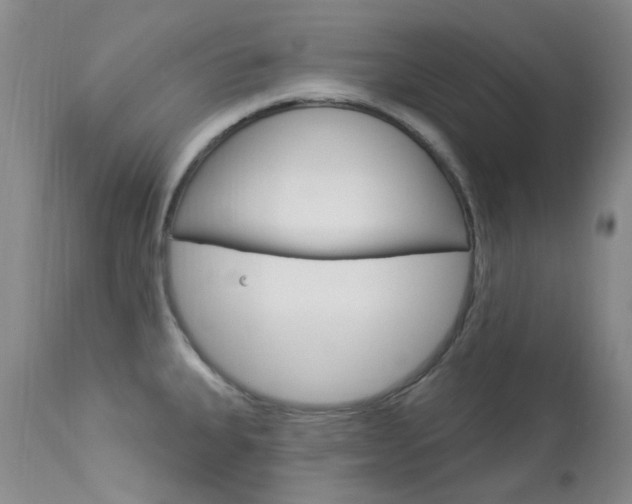 X0000114031335200910021031