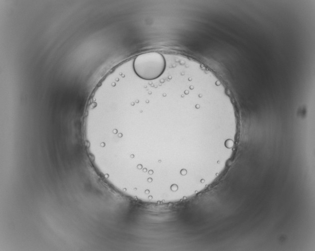 X0000114031338200910021031