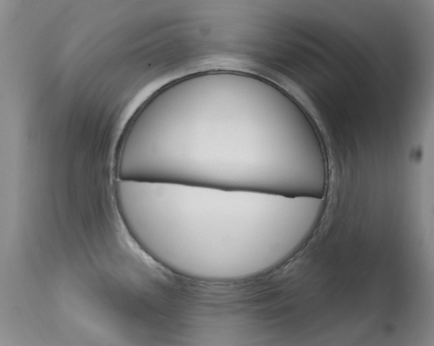 X0000114031339200910021031