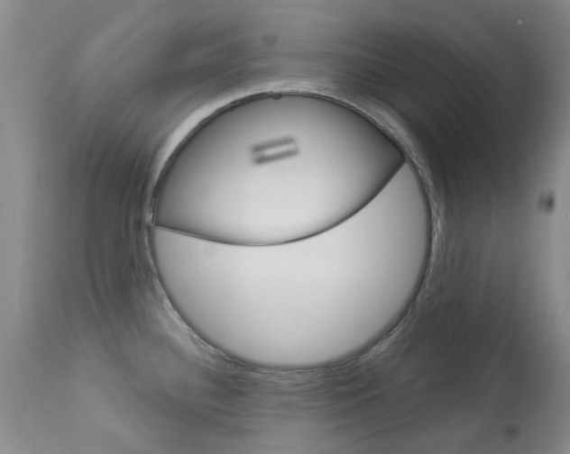 X0000114031340200910021031
