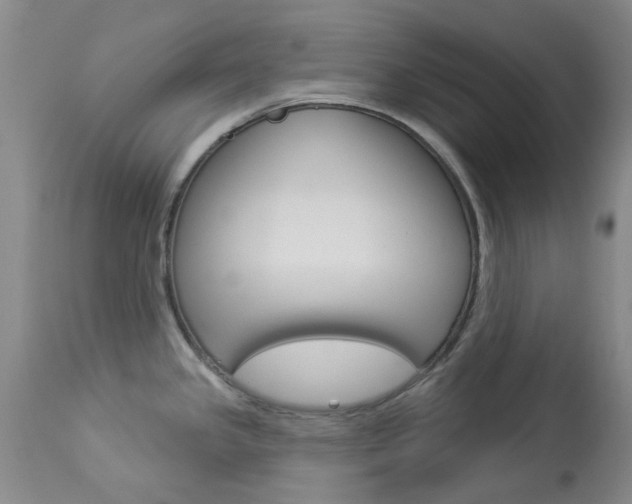 X0000114031341200910021031