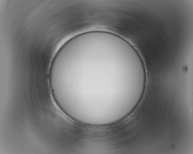 X0000114031342200910021031