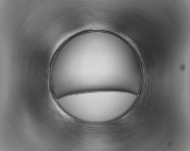 X0000114031343200910021032