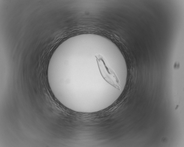 X0000114031345200910021031