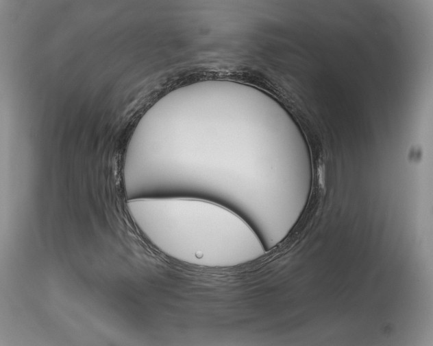 X0000114031347200910021031