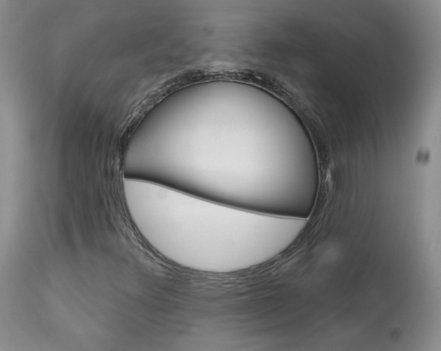 X0000114031348200910021031