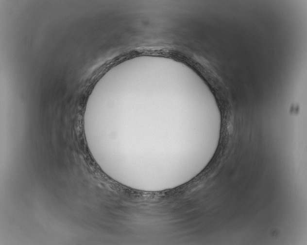 X0000114031350200910021031