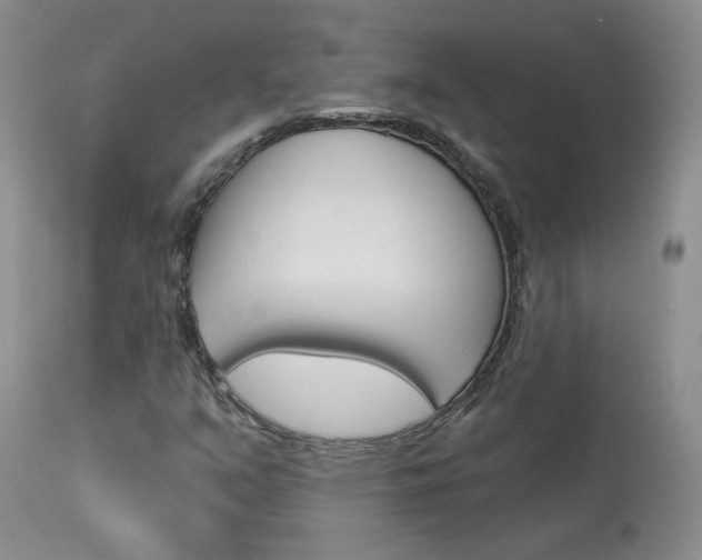 X0000114031351200910021031