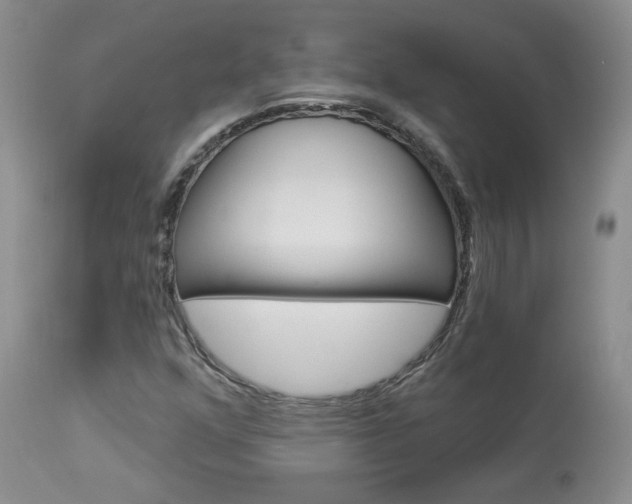 X0000114031352200910021031